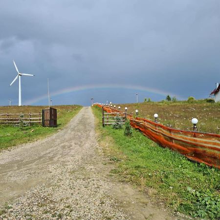 Pensiunea Zana Muntilor Piatra Fantanele Exterior foto