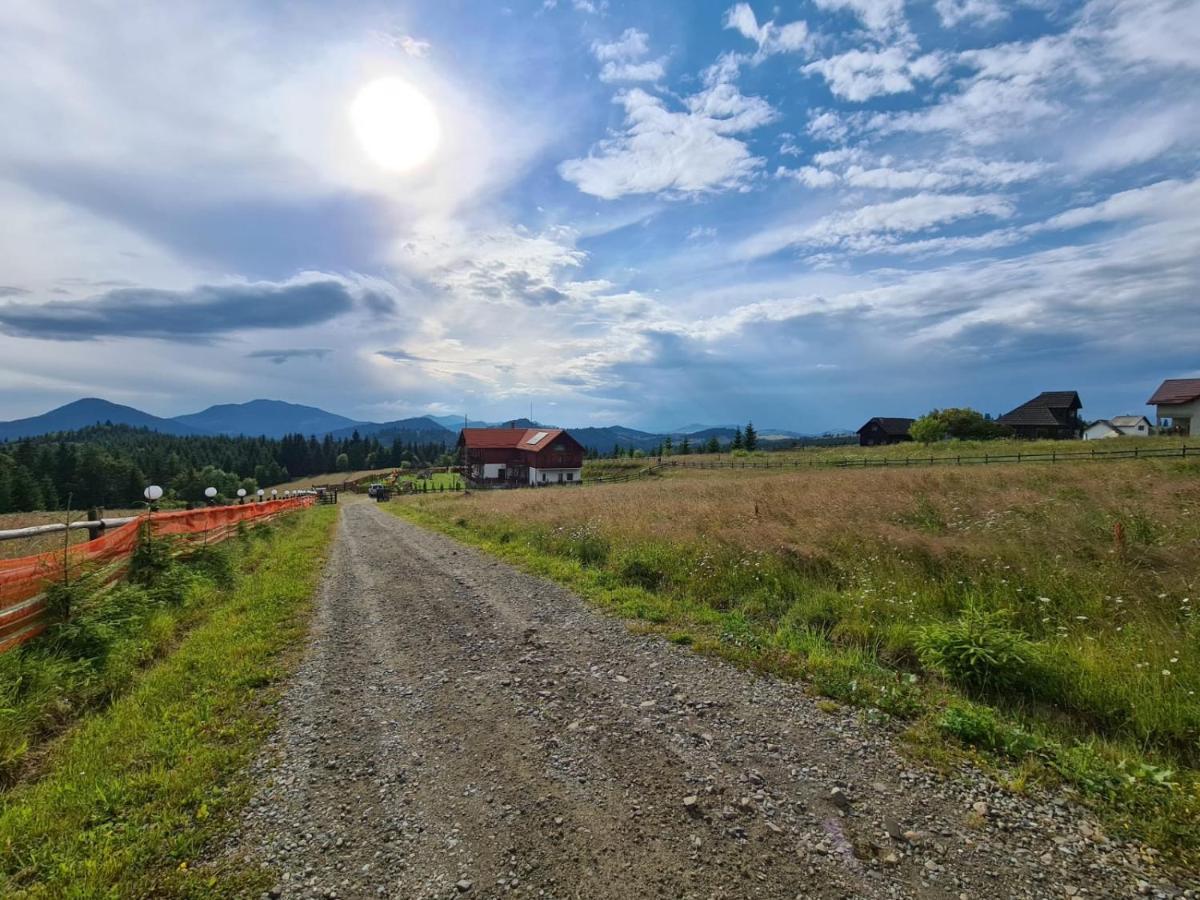 Pensiunea Zana Muntilor Piatra Fantanele Exterior foto